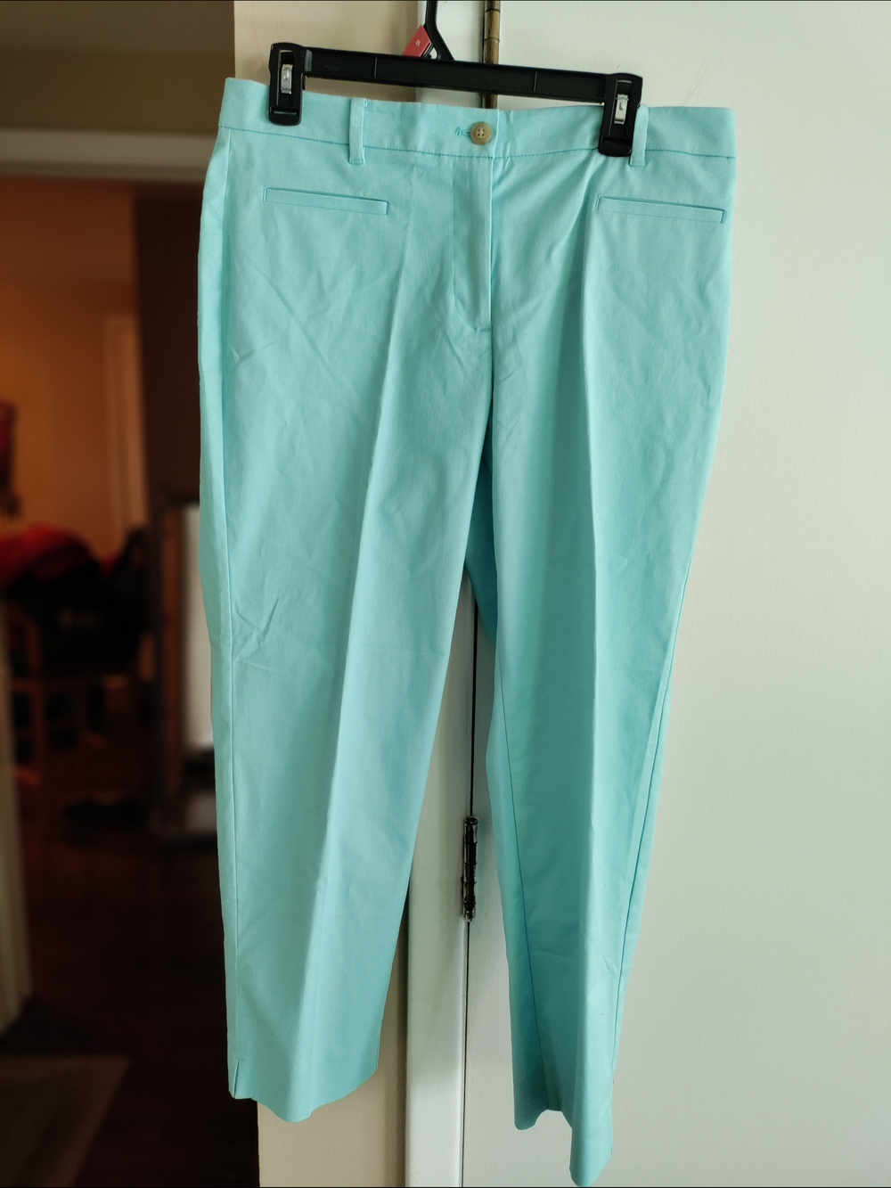 Women's NWT Ann Taylor Light Aqua Cotton Cropped Pants Size 8